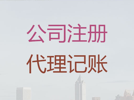 苏州代理公司记账|股份公司代理记账/做账,财务审计